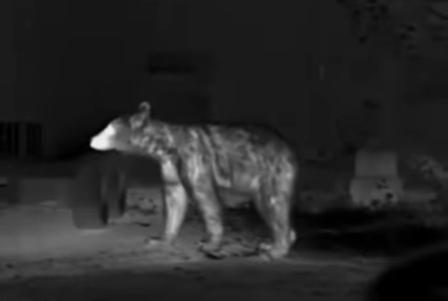 „Nu putem continua în ritmul acesta”