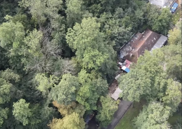 Peste 50 de arbori de pe Aleea de sub Tâmpa vor fi tăiaţi