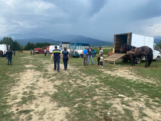 46 de amenzi lăsate la târgul de cai