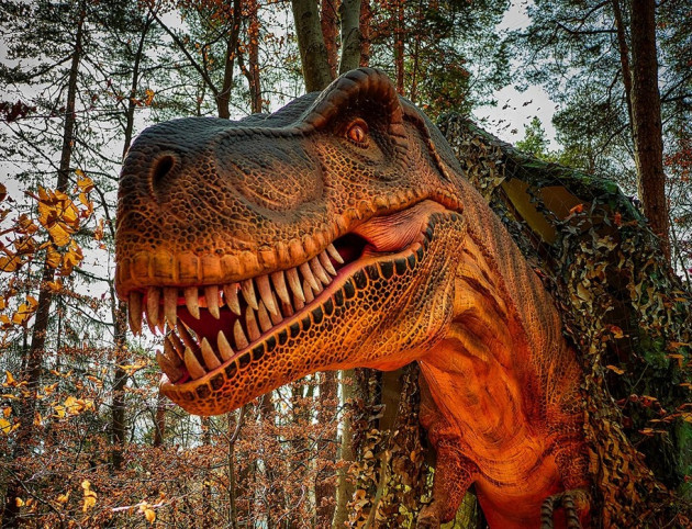 Cel mai mare dinozaur animatronic din Sud-Estul Europei şi primul dinozaur roboţel din România, la Dino Parc