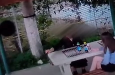 Făcute de rușine, urmează și-o amendă. Două „mândre” din Râșnov fără 7 ani de-acasă