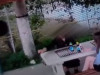 Făcute de rușine, urmează și-o amendă. Două „mândre” din Râșnov fără 7 ani de-acasă