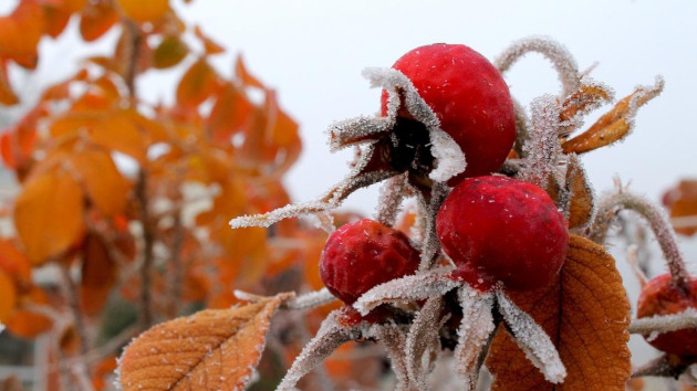 Braşov a bifat prima dimineaţă cu temperaturi negative: -1 grad Celsius