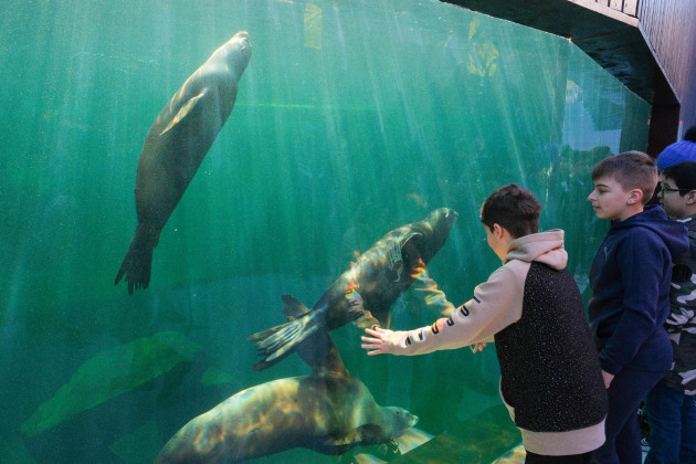 Zoo Braşov are de azi un nou program