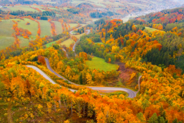 Culoarul Rucăr-Bran, pe harta Honda Dream Drives