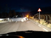 Au acroşat un bivol, două victime 
