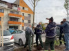 4.000 de puieţi pe 40 de străzi. Au început plantările de toamnă în Braşov