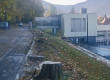 De ce au fost taiaţi castanii de sub Tâmpa? Primăria Braşov a dispus sistarea lucrărilor la Centrul de Agrement Braşov 