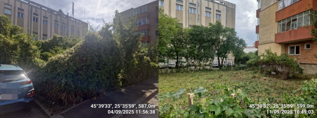 Terenuri cu buruieni şi gunoaie, 169 de somaţii în Braşov