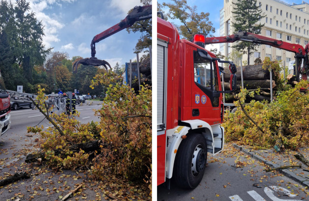 Rănit când toaleta arbori în zona Maternităţii Braşov. Dus la spital cu fractură la nivelul coloanei cervicale