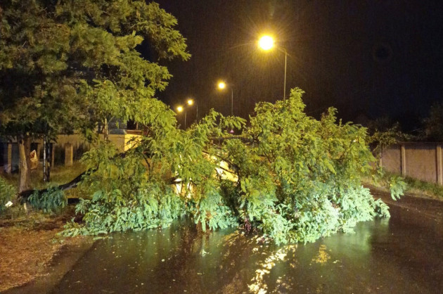 Noaptea cu cod portocaliu la Braşov: doar câţiva copaci căzuţi în zona Bran 