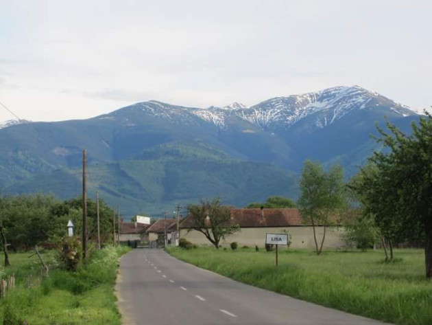 Alt pârât-soţ