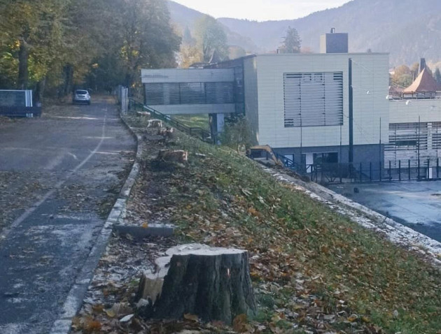 Castanii de sub Tâmpa, tăiaţi de Regia Pădurilor Kronstadt, plătiţi de Biblioteca Judeţeană Braşov