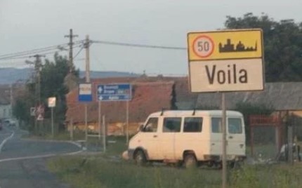 Şofer, 1 an şi 9 luni cu executare