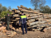 Funcţionar public din Voila, părtaş la furt de lemne