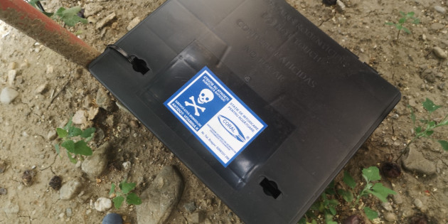 O nouă campanie anti-rozătoare la Braşov 