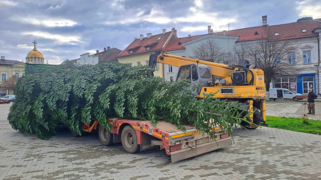 Făgărașul are brad donat de Transgaz