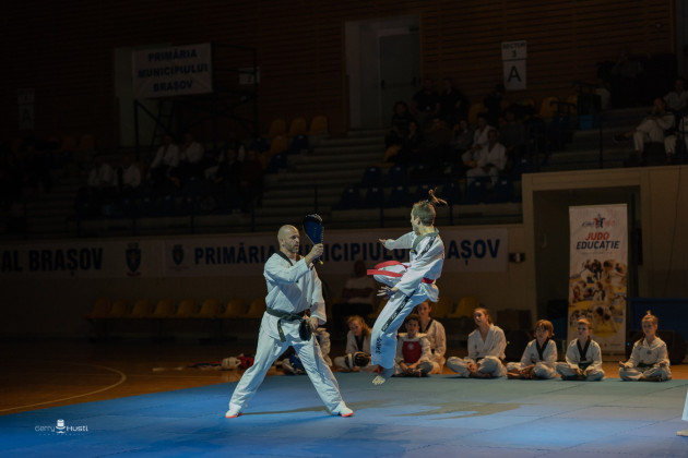 Festivalul Artelor Marţiale, sâmbătă, la Braşov  