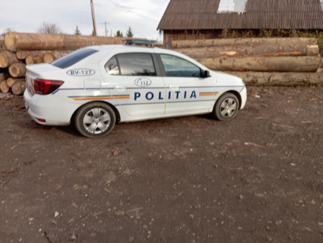 Furtul de lemne nu pare o excepţie în Braşov: în 2 zile, 391 de metri cubi confiscaţi