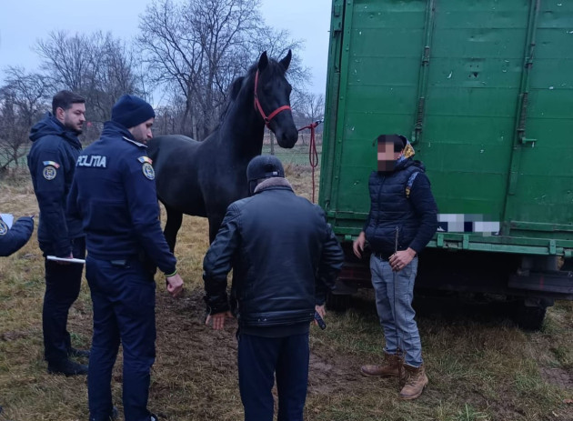 Târg de cai neautorizat, 3 dosare penale