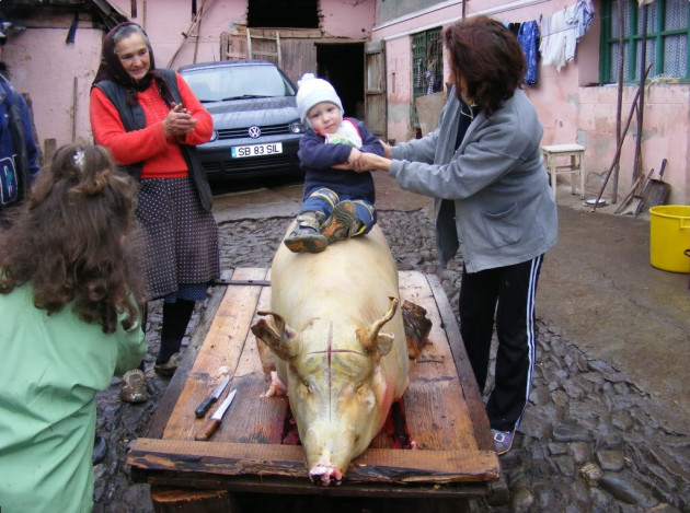 20 decembrie, zi de Ignat: cum diferă gusturile României