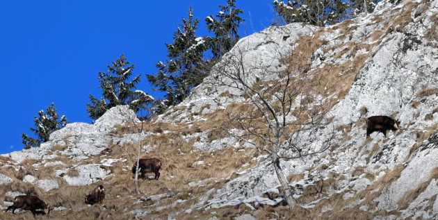 La plajă, pe crestele din Crai