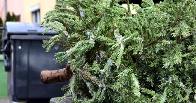 Graficul de ridicare a brazilor de Crăciun în zonele de case 