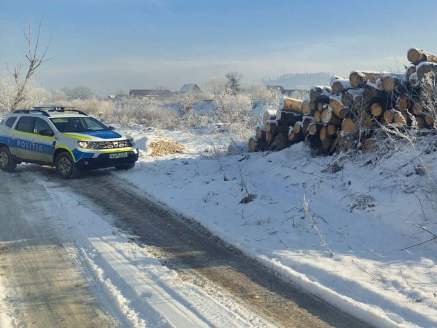 Legea era o glumă la un ocol din Hoghiz. 207,70 metri cubi de lemn, vândut sau tăiat fără acte