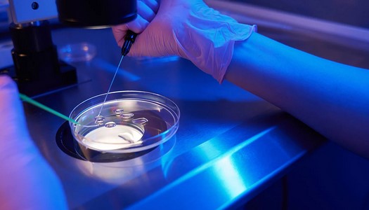 15.000 lei pentru fertilizarea în vitro, şi în 2026