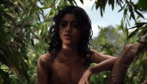 Se caută un „Mowgli mic” la Braşov. 8 – 12 ani, dezinvolt