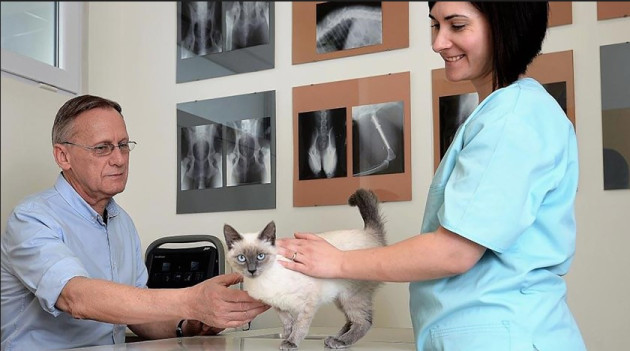 PartnerVet se extinde în Braşov. A cumpărat afacerea doctorului  care a înfiinţat primul cabinet privat veterinar din România