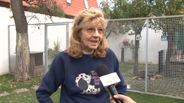 A fost ziua ursului. „Îmi pare foarte rău, nu cred că avem ce să sărbătorim”