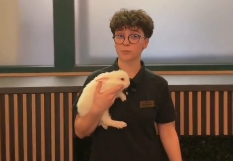 Nou prin Braşov: O cafea, servită cu şerpi, scorpioni şi tarantule