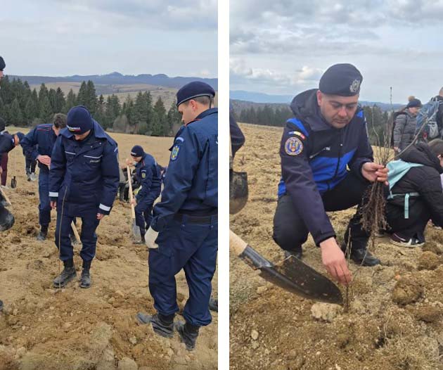 Jandarmeria Braşov  a trimis întăriri la „Plantează în Vlădeni”. 250 de oameni, 3.500 de copaci într-o zi