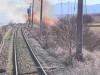Foc prea aproape de tren: Un incendiu de vegetaţie a oprit traficul feroviar între Feldioara şi Apaţa
