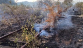 Al doilea incendiu de vegetație a blocat trenurile pe linia Brașov – Sighișoara