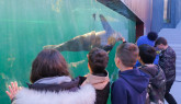 Zoo Braşov a trecut la programul de vară