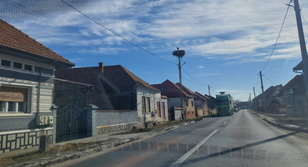  Prima barză, pe DN 1