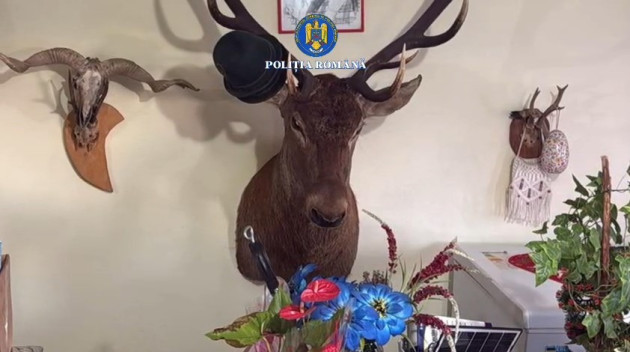 Avea casa plină de „trofee”