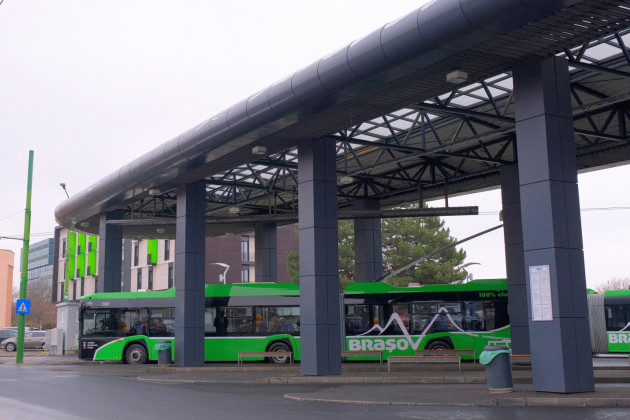 De la vinerea verde, la weekendul verde