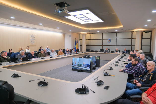 Comitetul Local pentru Situaţii de Urgenţă Braşov a decis tăierea a 32 de arbori din două zone intens circulate de pietoni
