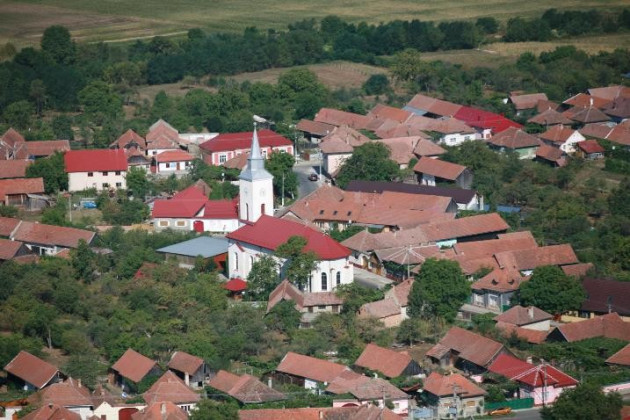 Se caută ciobani pentru păşunatul satului