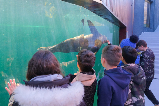 Zoo Braşov a trecut la programul de vară