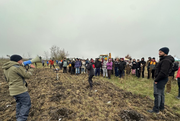 2.100 de paltini de munte, plantaţi într-o zi la Vlădeni, Dumbrăviţa. Se caută voluntari