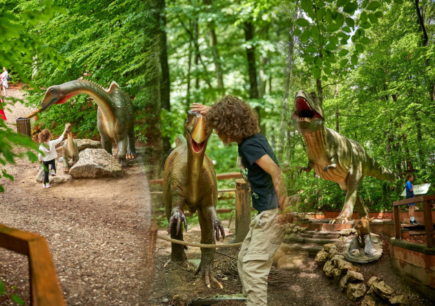 „Stenopterygius quadriscissus – de la fosilă la reptilă”