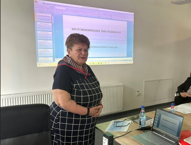 Granturi pentru pentru afaceri în Ţara Făgăraşului 