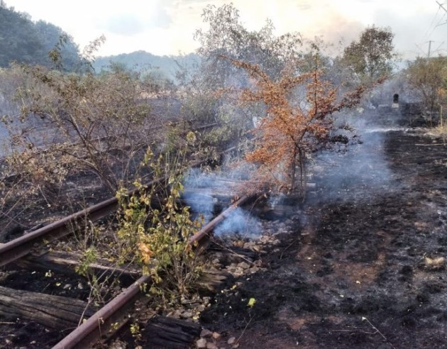 Al doilea incendiu de vegetație a blocat trenurile pe linia Brașov – Sighișoara