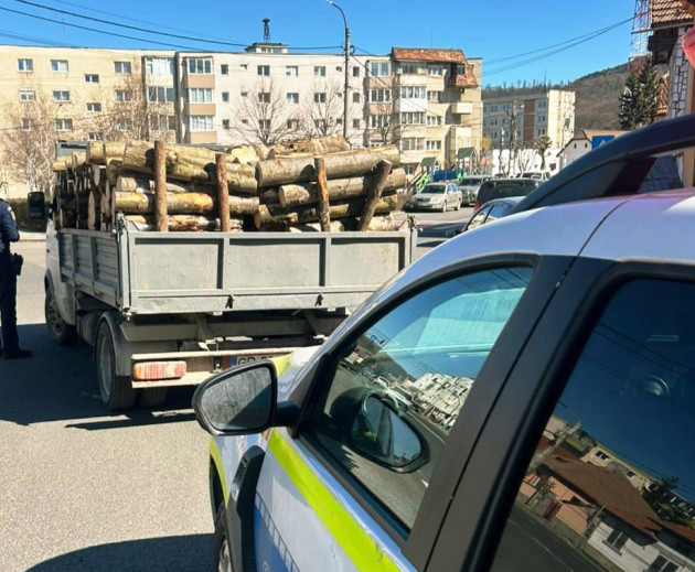 Zi de control pentru tranzit de lemne prin oraş