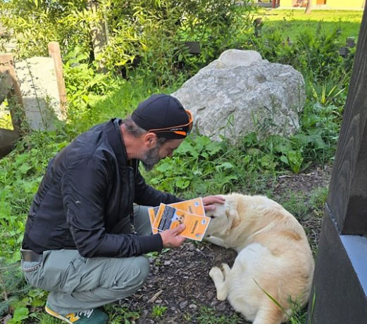 1.000 de câini de hrănit în Braşov. Cum le dai un castron de mâncare