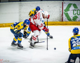 Corona, medalie de argint în Erste Liga
